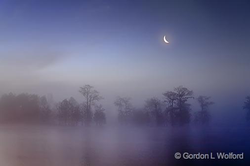 Foggy First Light_45766.jpg - Photographed at Lake Martin near Breaux Bridge, Louisiana, USA.